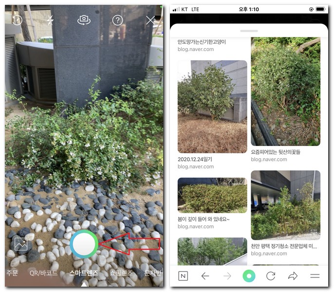 Naver 스마트렌즈 실행