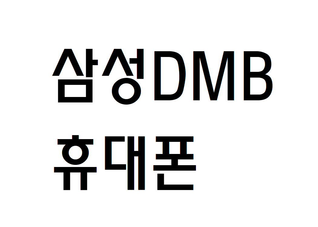 DMB시청