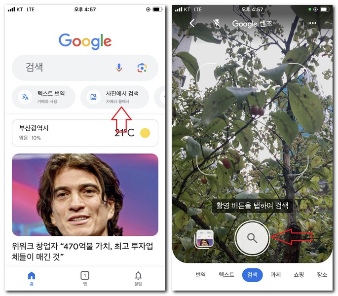 나무 이름 찾기 무료 어플 사용방법
