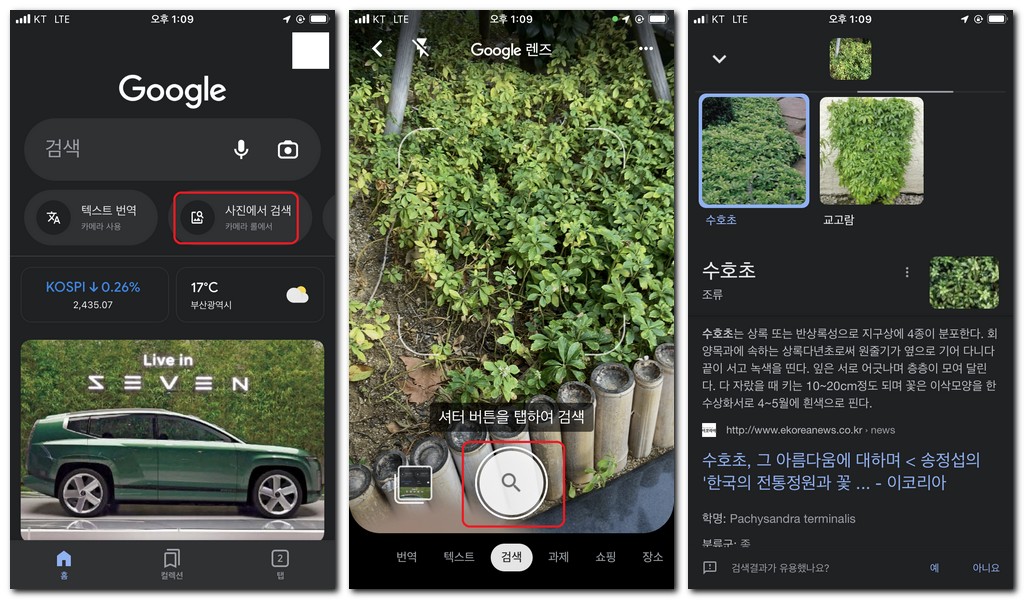 구글렌즈로 식물찾기