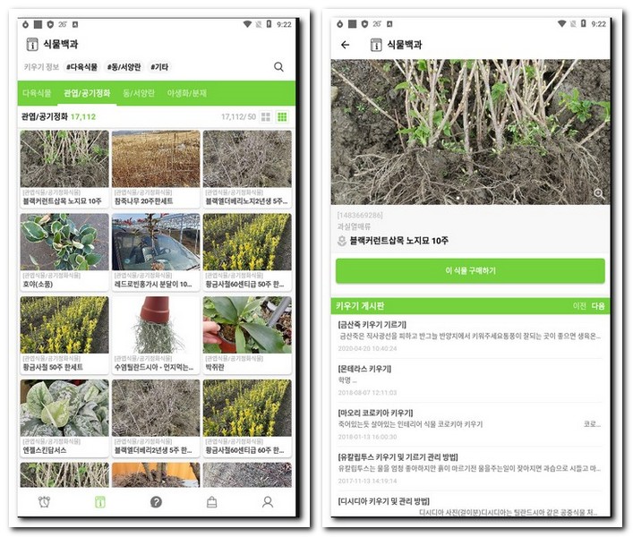 식물119 식물 식별하는 어플