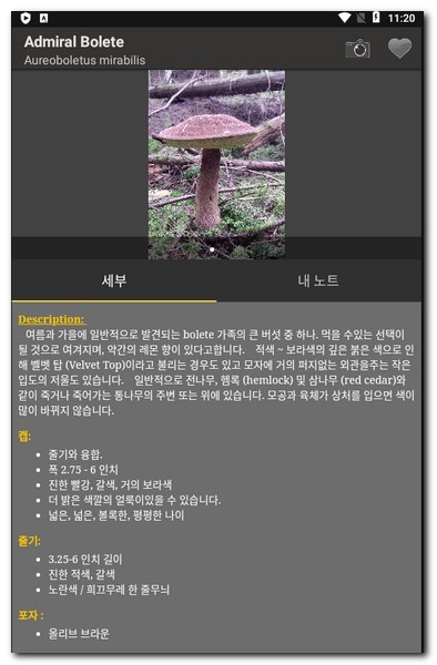 버섯 세부정보 파악