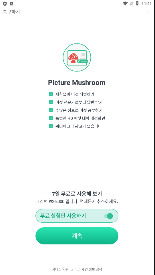 Picture Mushroom 실행하기