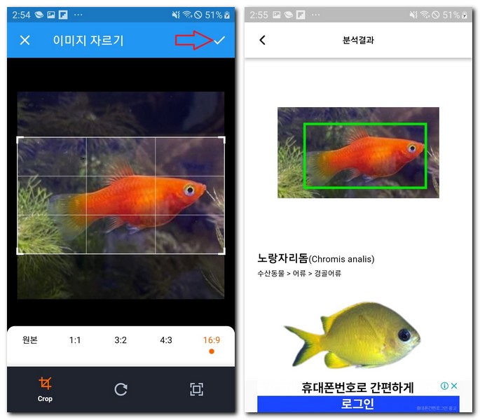 물고기 이름 찾기 사진으로 물고기 식별 방법